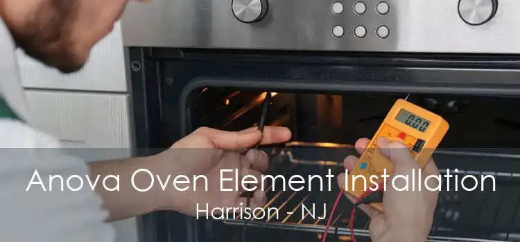 Anova Oven Element Installation Harrison - NJ