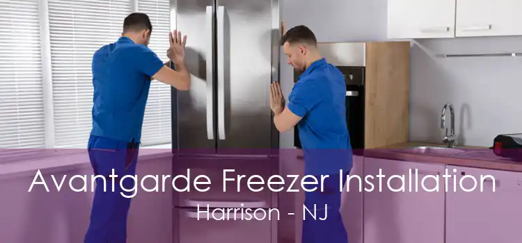 Avantgarde Freezer Installation Harrison - NJ