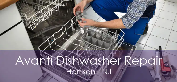 Avanti Dishwasher Repair Harrison - NJ