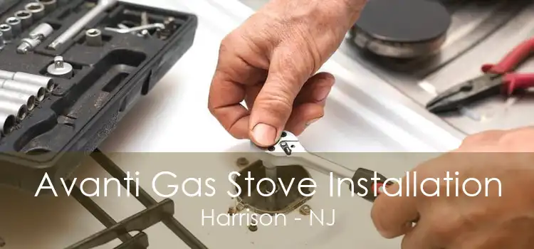 Avanti Gas Stove Installation Harrison - NJ