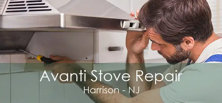 Avanti Stove Repair Harrison - NJ