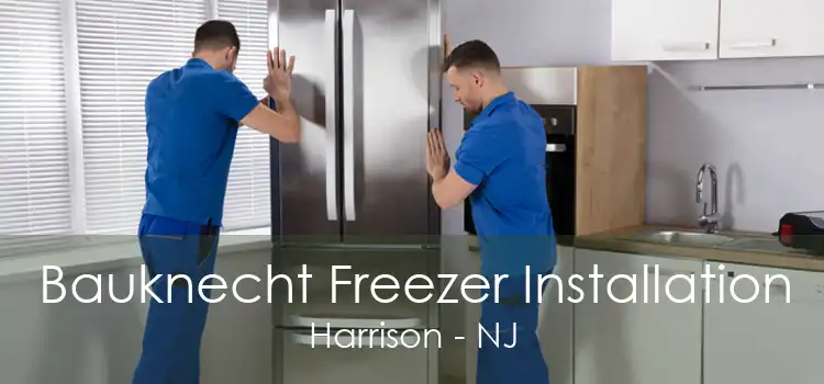 Bauknecht Freezer Installation Harrison - NJ