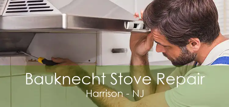 Bauknecht Stove Repair Harrison - NJ