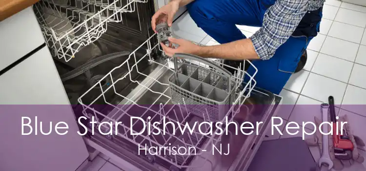 Blue Star Dishwasher Repair Harrison - NJ