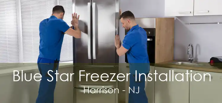 Blue Star Freezer Installation Harrison - NJ