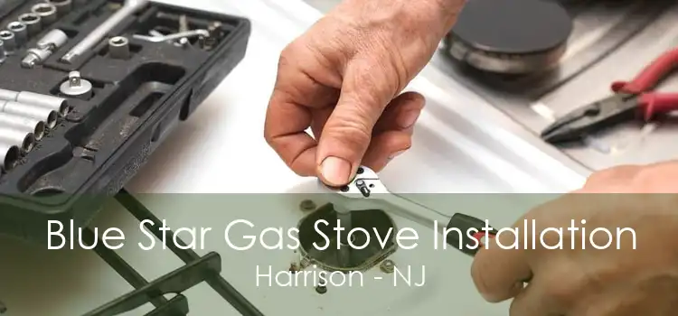 Blue Star Gas Stove Installation Harrison - NJ