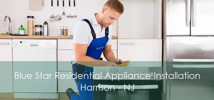 Blue Star Residential Appliance Installation Harrison - NJ