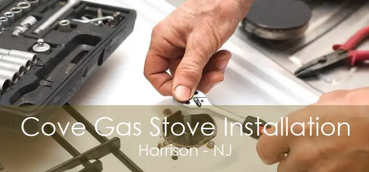 Cove Gas Stove Installation Harrison - NJ