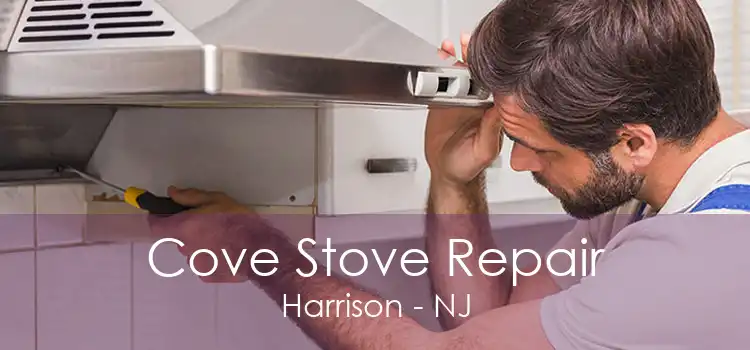 Cove Stove Repair Harrison - NJ