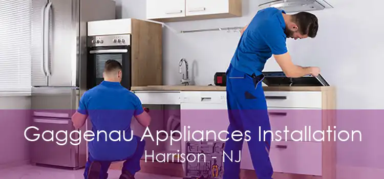 Gaggenau Appliances Installation Harrison - NJ