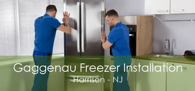 Gaggenau Freezer Installation Harrison - NJ