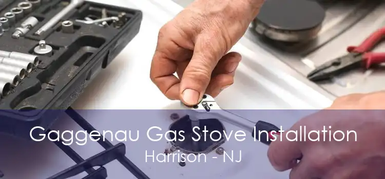 Gaggenau Gas Stove Installation Harrison - NJ