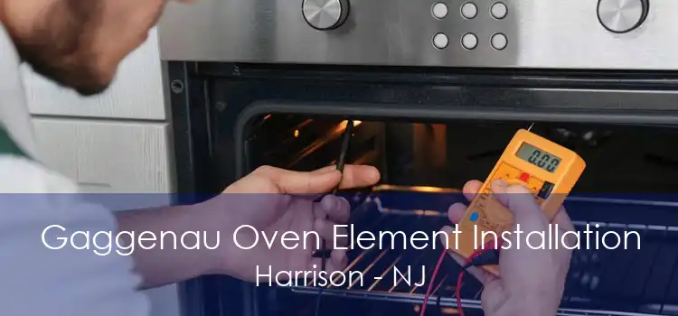 Gaggenau Oven Element Installation Harrison - NJ