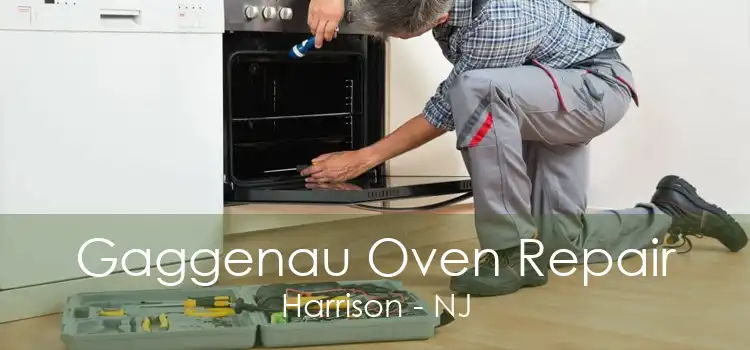 Gaggenau Oven Repair Harrison - NJ