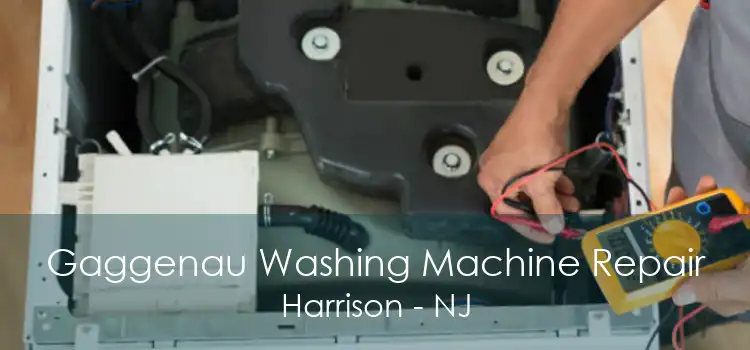 Gaggenau Washing Machine Repair Harrison - NJ