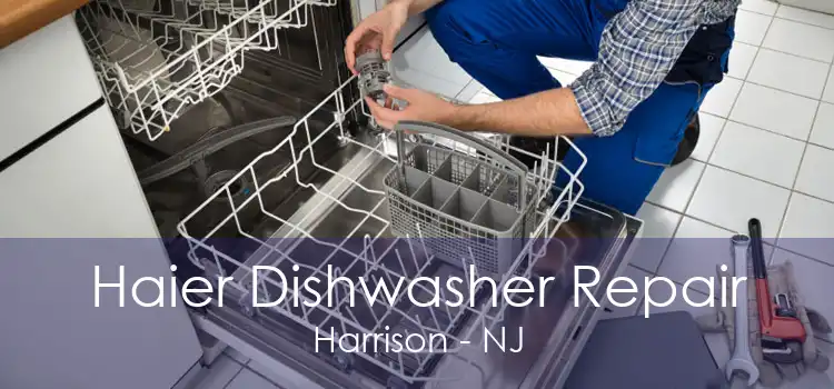 Haier Dishwasher Repair Harrison - NJ