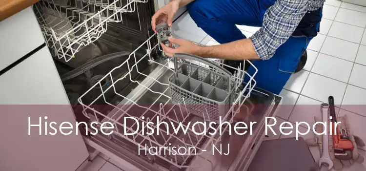 Hisense Dishwasher Repair Harrison - NJ