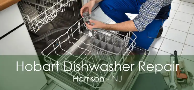 Hobart Dishwasher Repair Harrison - NJ