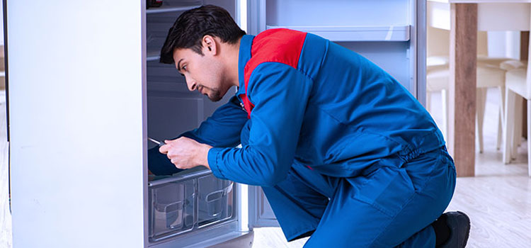 Freezer Repair Services in Harrison, New Jersey