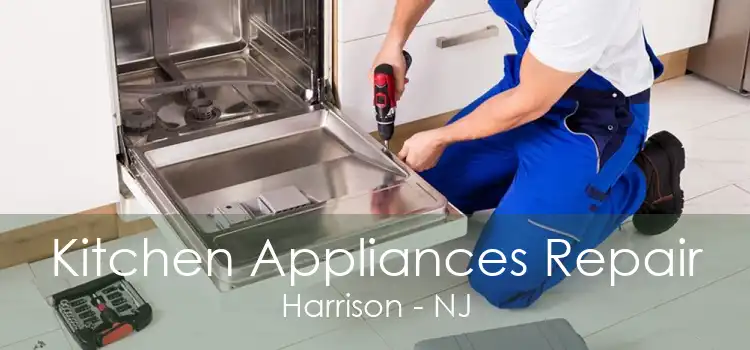 Kitchen Appliances Repair Harrison - NJ