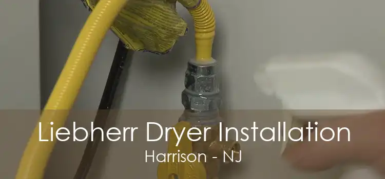 Liebherr Dryer Installation Harrison - NJ