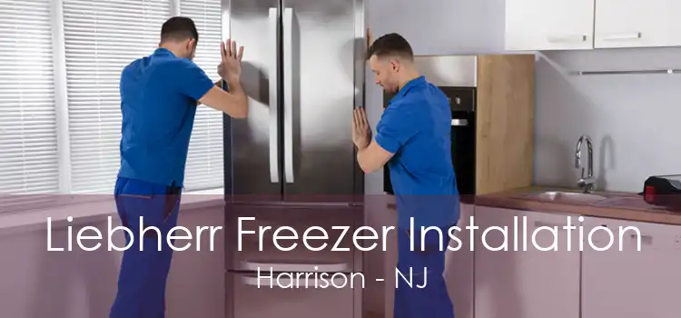 Liebherr Freezer Installation Harrison - NJ