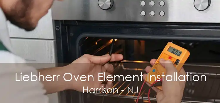 Liebherr Oven Element Installation Harrison - NJ