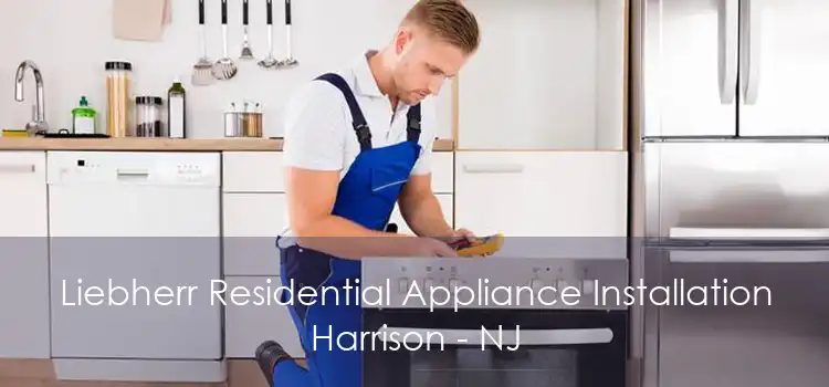 Liebherr Residential Appliance Installation Harrison - NJ