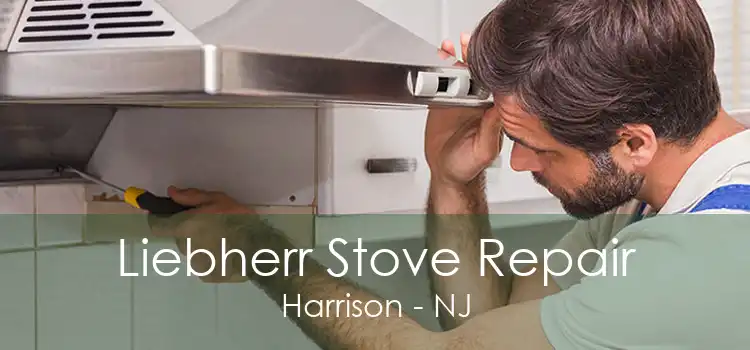 Liebherr Stove Repair Harrison - NJ