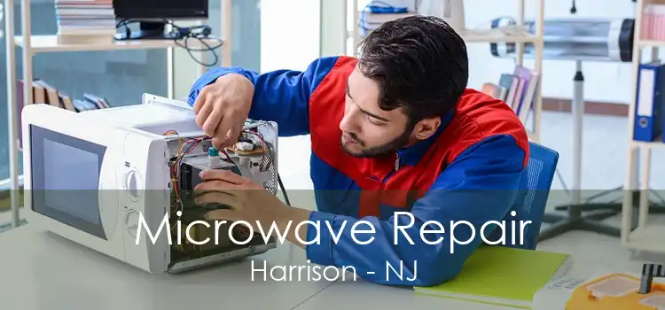 Microwave Repair Harrison - NJ