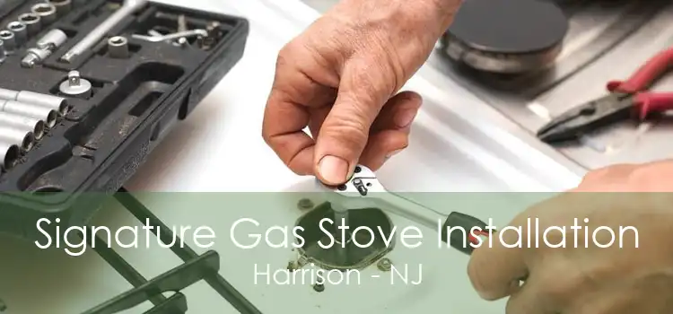 Signature Gas Stove Installation Harrison - NJ