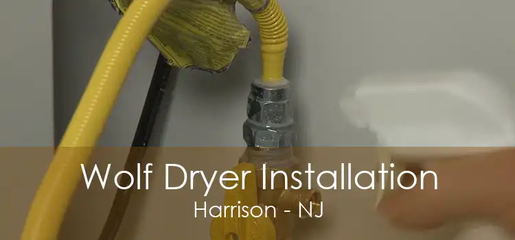 Wolf Dryer Installation Harrison - NJ