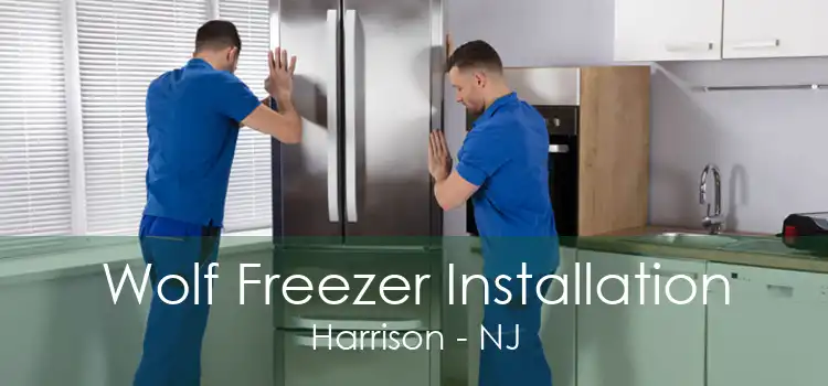 Wolf Freezer Installation Harrison - NJ