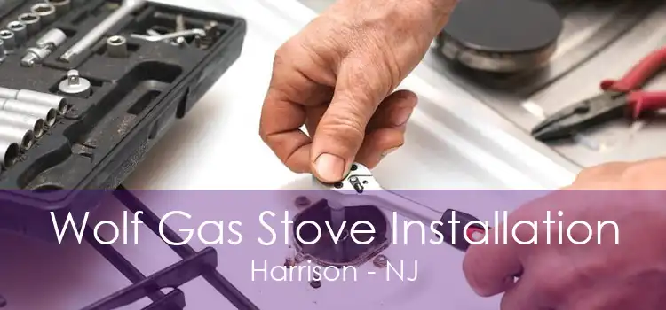 Wolf Gas Stove Installation Harrison - NJ