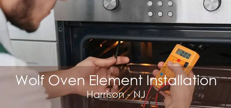 Wolf Oven Element Installation Harrison - NJ