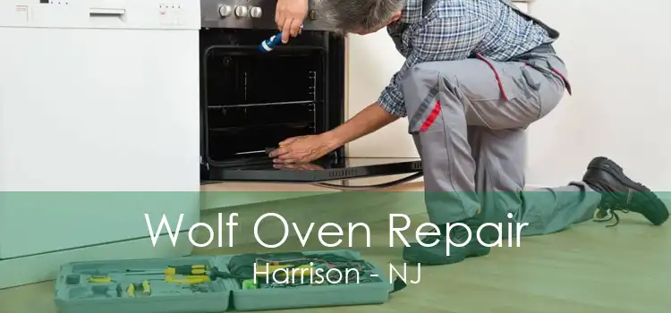 Wolf Oven Repair Harrison - NJ