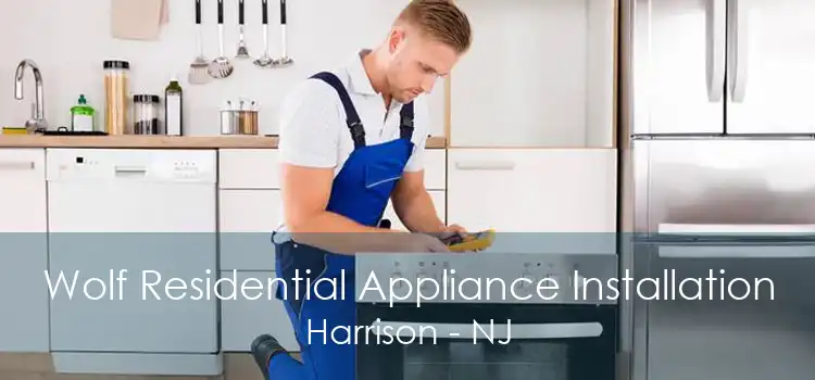 Wolf Residential Appliance Installation Harrison - NJ