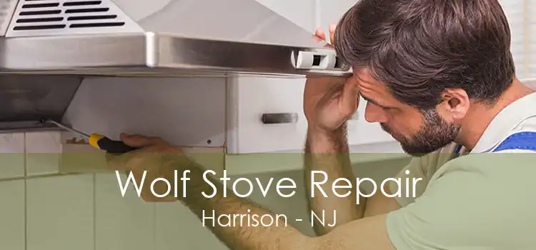 Wolf Stove Repair Harrison - NJ